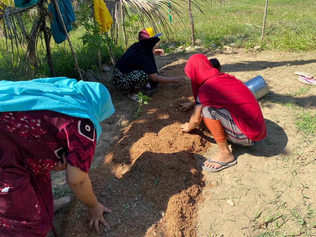 Rata-rata pekerjaan warga desa Blang Awe yaitu bertani dan berkebun.